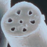 CE