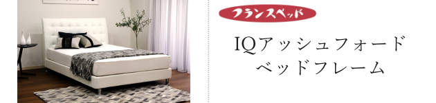 IQアッシュフォード