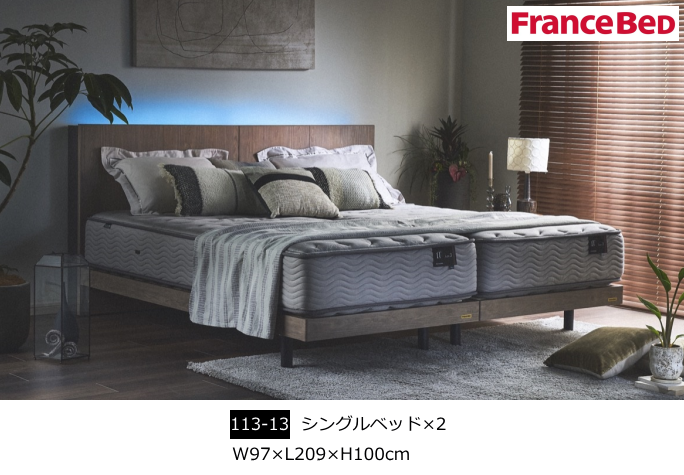 �Ƌ�V���[�W���p���E�t�����X�x�b�h