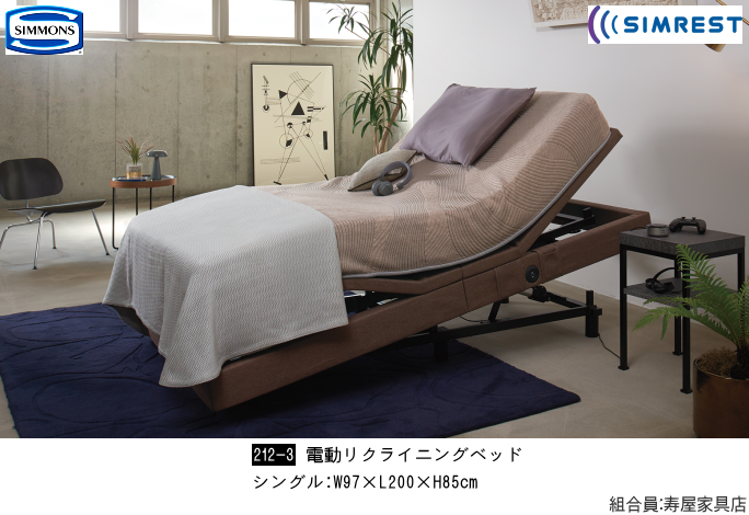 �Ƌ�V���[�W���p���E�V�����Y�x�b�h