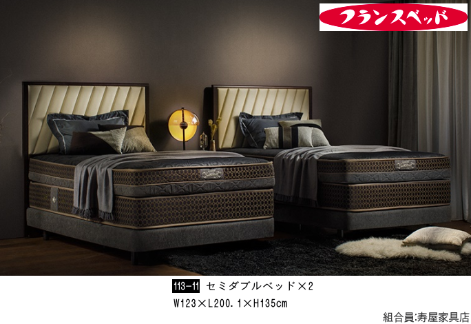 �Ƌ�V���[�W���p���E�t�����X�x�b�h